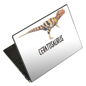 m[gp\R XLV[ 17C`܂őΉ ėpXebJ[ 2Zbg LAVIEp FMVp LIFEBOOKp Dynabookp Lenovop Thinkbookp IdeaPadp HPp Pavillonp ENVYp Elitep Dellp Vostrop Inspironp VAIOp 019808 