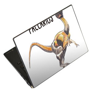 �m�[�g�p�\�R�� �X�L���V�[�� 13.3�C���`�܂őΉ� �ėp�X�e�b�J�[ 2���Z�b�g LAVIE�p FMV�p LIFEBOOK�p Dynabook�p Lenovo�p Thinkbook�p IdeaPad�p HP�p Pavillon�p ENVY�p Elite�p Dell�p Vostro�p Inspiron�p VAIO�p 019812