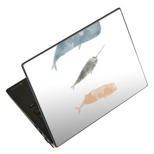 m[gp\R XLV[ 17C`܂őΉ ėpXebJ[ 2Zbg LAVIEp FMVp LIFEBOOKp Dynabookp Lenovop Thinkbookp IdeaPadp HPp Pavillonp ENVYp Elitep Dellp Vostrop Inspironp VAIOp 019914 