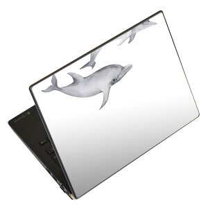 m[gp\R XLV[ 17C`܂őΉ ėpXebJ[ 2Zbg LAVIEp FMVp LIFEBOOKp Dynabookp Lenovop Thinkbookp IdeaPadp HPp Pavillonp ENVYp Elitep Dellp Vostrop Inspironp VAIOp 019927 