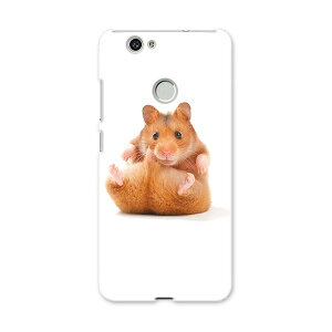 NOVA huawei nova t@[EFC m@ simfree SIMt[ X}z Jo[ P[X X}zP[X X}zJo[ PC n[hP[X nX^[@ Aj} 001075