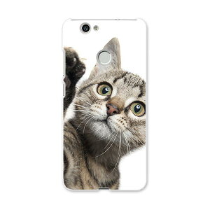 NOVA huawei nova t@[EFC m@ simfree SIMt[ X}z Jo[ P[X X}zP[X X}zJo[ PC n[hP[X L@@ʐ^ Aj} 002674