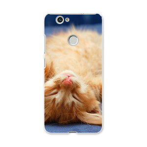 NOVA huawei nova t@[EFC m@ simfree SIMt[ X}z Jo[ P[X X}zP[X X}zJo[ PC n[hP[X L@@ʐ^ Aj} 002759