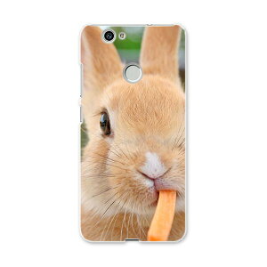 NOVA huawei nova t@[EFC m@ simfree SIMt[ X}z Jo[ P[X X}zP[X X}zJo[ PC n[hP[X @@ʐ^ Aj} 002807