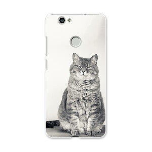 NOVA huawei nova t@[EFC m@ simfree SIMt[ X}z Jo[ P[X X}zP[X X}zJo[ PC n[hP[X L@@ʐ^ Aj} 002901