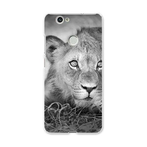 NOVA huawei nova t@[EFC m@ simfree SIMt[ X}z Jo[ P[X X}zP[X X}zJo[ PC n[hP[X ʐ^@mN@CI Aj} 007626