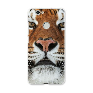 NOVA huawei nova t@[EFC m@ simfree SIMt[ X}z Jo[ P[X X}zP[X X}zJo[ PC n[hP[X ʐ^@g@Ձ@ Aj} ʐ^Ei 008090