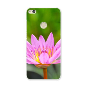 NOVA LITE huawei novalite simfree SIM�t���[ �X�}�z �J�o�[ �P�[�X �X�}�z�P�[�X �X�}�z�J�o�[ PC �n�[�h�P�[�X �ԁ@�s���N�@�ʐ^ �t�����[ 002586