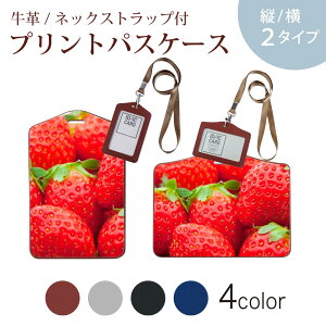 pXP[X  IC IDJ[h O[ ubN uE lbNXgbvt Јؓ ʊw ʋ passcase 000149 䕁@@ԁ@ʕ