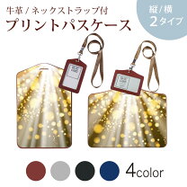 楽天市場】プリティーリズム シャイニーパスケースの通販