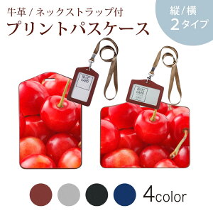 pXP[X  IC IDJ[h O[ ubN uE lbNXgbvt Јؓ ʊw ʋ passcase 002646 ʕ@ʐ^