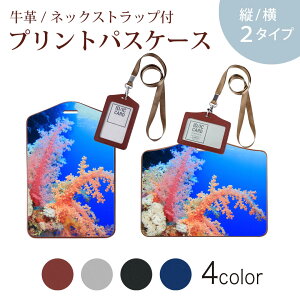 pXP[X  IC IDJ[h O[ ubN uE lbNXgbvt Јؓ ʊw ʋ passcase 003341 C@ʐ^@iF@i