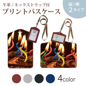 pXP[X  IC IDJ[h O[ ubN uE lbNXgbvt Јؓ ʊw ʋ passcase 022988 낤@Jt@ʐ^