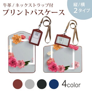 �p�X�P�[�X ������� IC ID�J�[�h���� �O���[ �u���b�N �u���E�� �l�b�N�X�g���b�v�t �Ј��ؓ��� �ʊw �ʋ� passcase 023011 �ԁ@�C���X�g