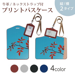 �p�X�P�[�X ������� IC ID�J�[�h���� �O���[ �u���b�N �u���E�� �l�b�N�X�g���b�v�t �Ј��ؓ��� �ʊw �ʋ� passcase 023016 �ԁ@�t���ρ@�A��