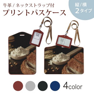 �p�X�P�[�X ������� IC ID�J�[�h���� �O���[ �u���b�N �u���E�� �l�b�N�X�g���b�v�t �Ј��ؓ��� �ʊw �ʋ� passcase 023017 �H�ו��@�����@�ʐ^