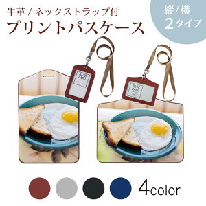 �p�X�P�[�X ������� IC ID�J�[�h���� �O���[ �u���b�N �u���E�� �l�b�N�X�g���b�v�t �Ј��ؓ��� �ʊw �ʋ� passcase 023018 �ڋʏĂ��@�ʐ^�@�p���@�H�ו�