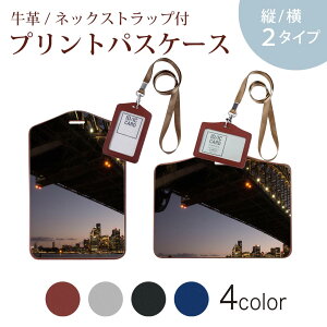 �p�X�P�[�X ������� IC ID�J�[�h���� �O���[ �u���b�N �u���E�� �l�b�N�X�g���b�v�t �Ј��ؓ��� �ʊw �ʋ� passcase 023019 ���i�@���@�ʐ^�@��i