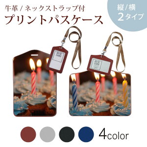 パスケース 定期入れ IC IDカード入れ グレー ブラック ブラウン ネックストラップ付 社員証入れ 通学 通勤 passcase 023181 ろうそく カラフル ケーキ