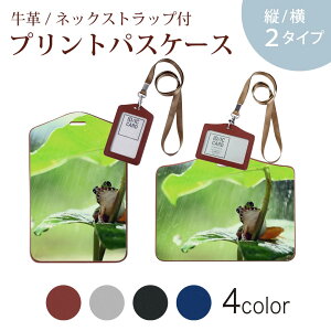 pXP[X  IC IDJ[h O[ ubN uE lbNXgbvt Јؓ ʊw ʋ passcase 023378 JG@@J