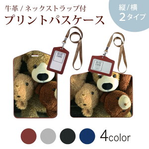 pXP[X  IC IDJ[h O[ ubN uE lbNXgbvt Јؓ ʊw ʋ passcase 025764 efBxA@ʂ݁@l`@N}