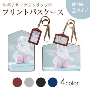 pXP[X  IC IDJ[h O[ ubN uE lbNXgbvt Јؓ ʊw ʋ passcase 025766 jR[@yKTX@ʂ