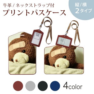 pXP[X  IC IDJ[h O[ ubN uE lbNXgbvt Јؓ ʊw ʋ passcase 025770 efBxA@ʂ݁@l`@N}