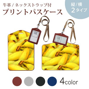 pXP[X  IC IDJ[h O[ ubN uE lbNXgbvt Јؓ ʊw ʋ passcase 026071 t[c@ʕ@oii