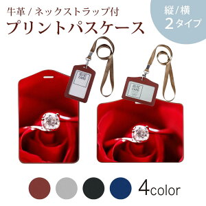 pXP[X  IC IDJ[h O[ ubN uE lbNXgbvt Јؓ ʊw ʋ passcase 005136 ԁ@wց@KN