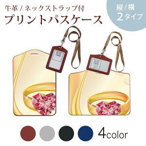 pXP[X  IC IDJ[h O[ ubN uE lbNXgbvt Јؓ ʊw ʋ passcase 005373 wց@CXg@bh