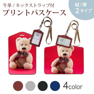 pXP[X  IC IDJ[h O[ ubN uE lbNXgbvt Јؓ ʊw ʋ passcase 006350 ʐ^@ʂ݁@efBxA