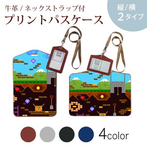 �p�X�P�[�X ������� IC ID�J�[�h���� �O���[ �u���b�N �u���E�� �l�b�N�X�g���b�v�t �Ј��ؓ��� �ʊw �ʋ� passcase 007378 �h�b�g�@�Q�[���@�J���t��