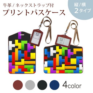 �p�X�P�[�X ������� IC ID�J�[�h���� �O���[ �u���b�N �u���E�� �l�b�N�X�g���b�v�t �Ј��ؓ��� �ʊw �ʋ� passcase 007961 �J���t���@�p�Y���@�͗l�@�Q�[��