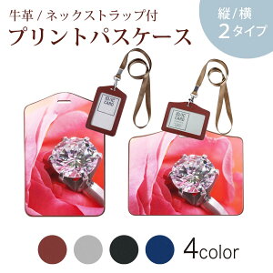 pXP[X  IC IDJ[h O[ ubN uE lbNXgbvt Јؓ ʊw ʋ passcase 008706 ʐ^@ԁ@@wց@_C