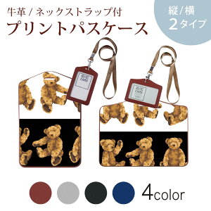 pXP[X  IC IDJ[h O[ ubN uE lbNXgbvt Јؓ ʊw ʋ passcase 008739 efBxA@@CXg