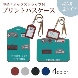 �p�X�P�[�X ������� IC ID�J�[�h���� �O���[ �u���b�N �u���E�� �l�b�N�X�g���b�v�t �Ј��ؓ��� �ʊw �ʋ� passcase 010465 �Q�[���@�����R���@��