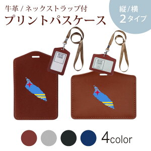 �p�X�P�[�X ������� IC ID�J�[�h���� �O���[ �u���b�N �u���E�� �l�b�N�X�g���b�v�t �Ј��ؓ��� �ʊw �ʋ� passcase 018764 ���� aruba �A���o