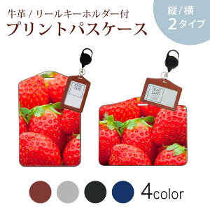 pXP[X [L[z_[t  IC IDJ[h O[ ubN uE lCr[ h~ 70cmLт Јؓ ʊw ʋ passcase 000149 䕁@@ԁ@ʕ