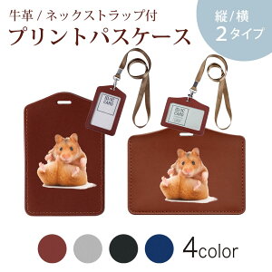 pXP[X [L[z_[t  IC IDJ[h O[ ubN uE lCr[ h~ 70cmLт Јؓ ʊw ʋ passcase 001075 nX^[@