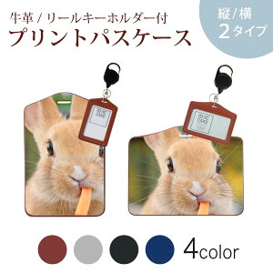 pXP[X [L[z_[t  IC IDJ[h O[ ubN uE lCr[ h~ 70cmLт Јؓ ʊw ʋ passcase 002807 @@ʐ^