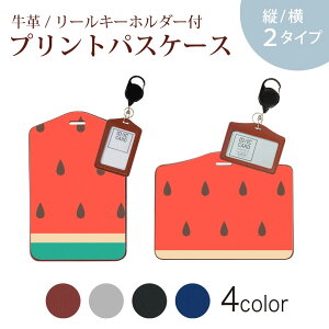 pXP[X [L[z_[t  IC IDJ[h O[ ubN uE lCr[ h~ 70cmLт Јؓ ʊw ʋ passcase 010433 ʕ@XCJ@ԁ@