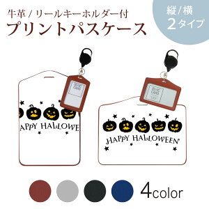 pXP[X [L[z_[t  IC IDJ[h O[ ubN uE lCr[ h~ 70cmLт Јؓ ʊw ʋ passcase 017434 nEB@L[g ڂ@@