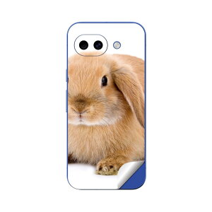 Google Pixel 10/10a/10 Pro/10 Pro XL/10 Pro Fold �Ή� �X�L���V�[�� �������� �w�� �ی� �J�o�[ �X�e�b�J�[ �X�}�z ������� �\�邾�� ����2������ igsticker �������@���� 001112