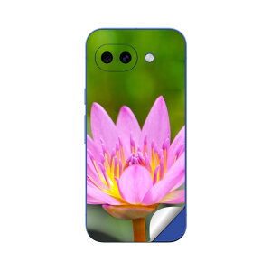 Google Pixel 10/10a/10 Pro/10 Pro XL/10 Pro Fold �Ή� �X�L���V�[�� �������� �w�� �ی� �J�o�[ �X�e�b�J�[ �X�}�z ������� �\�邾�� ����2������ igsticker �ԁ@�s���N�@�ʐ^ 002586