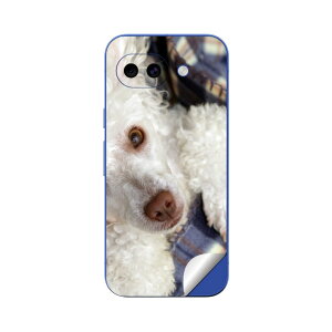 Google Pixel 10/10a/10 Pro/10 Pro XL/10 Pro Fold �Ή� �X�L���V�[�� �������� �w�� �ی� �J�o�[ �X�e�b�J�[ �X�}�z ������� �\�邾�� ����2������ igsticker ���@�����@�ʐ^ 002622