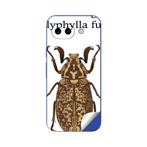 Google Pixel 10/10a/10 Pro/10 Pro XL/10 Pro Fold �Ή� �X�L���V�[�� �������� �w�� �ی� �J�o�[ �X�e�b�J�[ �X�}�z ������� �\�邾�� ����2������ igsticker �� polyphylla fullo �q�Q�R�K�l 020014