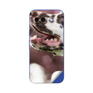 Google Pixel 10/10a/10 Pro/10 Pro XL/10 Pro Fold �Ή� �X�L���V�[�� �������� �w�� �ی� �J�o�[ �X�e�b�J�[ �X�}�z ������� �\�邾�� ����2������ igsticker ���@�����@�ʐ^ 023189