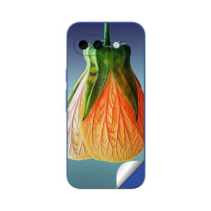 Google Pixel 10/10a/10 Pro/10 Pro XL/10 Pro Fold �Ή� �X�L���V�[�� �������� �w�� �ی� �J�o�[ �X�e�b�J�[ �X�}�z ������� �\�邾�� ����2������ igsticker �ԁ@�t�����[ 023293
