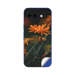 Google Pixel 10/10a/10 Pro/10 Pro XL/10 Pro Fold �Ή� �X�L���V�[�� �������� �w�� �ی� �J�o�[ �X�e�b�J�[ �X�}�z ������� �\�邾�� ����2������ igsticker �ԁ@�t�����[ 023698