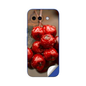Google Pixel 10/10a/10 Pro/10 Pro XL/10 Pro Fold �Ή� �X�L���V�[�� �������� �w�� �ی� �J�o�[ �X�e�b�J�[ �X�}�z ������� �\�邾�� ����2������ igsticker �؂̎��@�ʐ^�@�A�� 023715